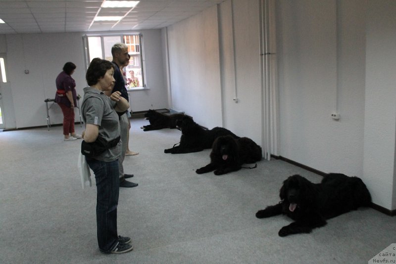 Фотография № 184578