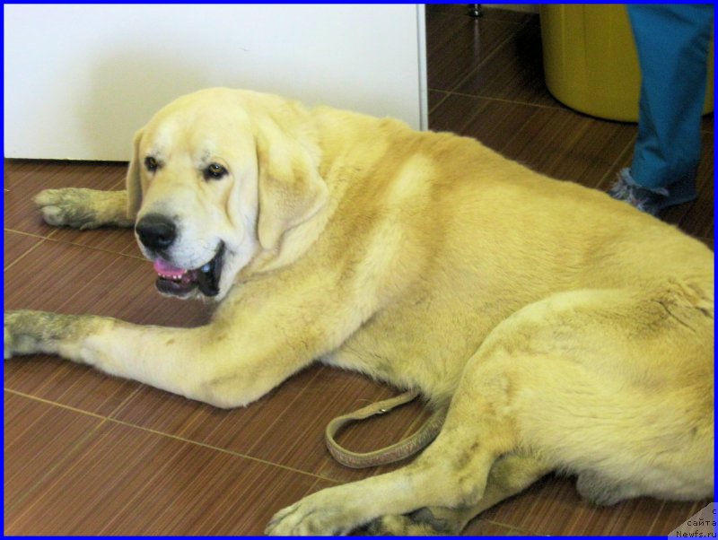 Фотография № 184594