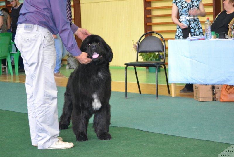 Фотография № 184595