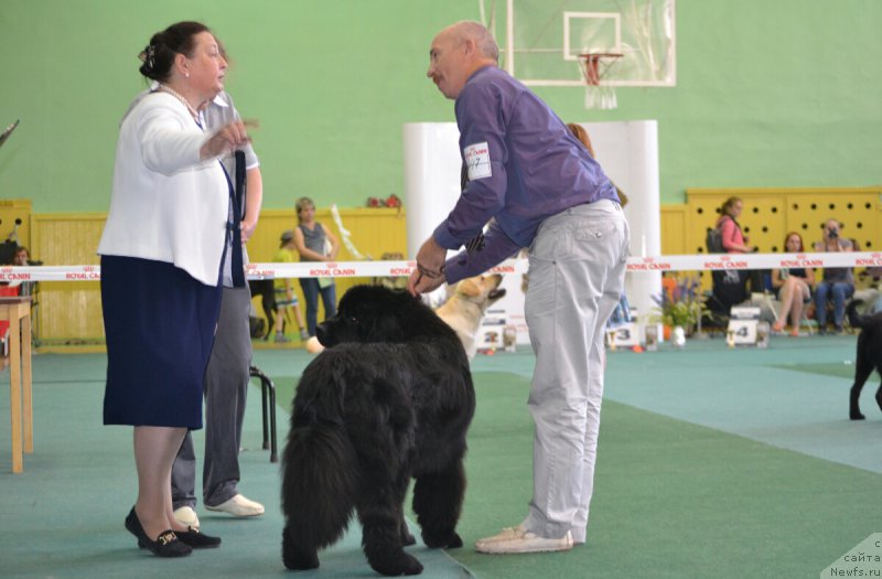 Фотография № 184596