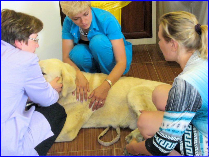 Фотография № 184598