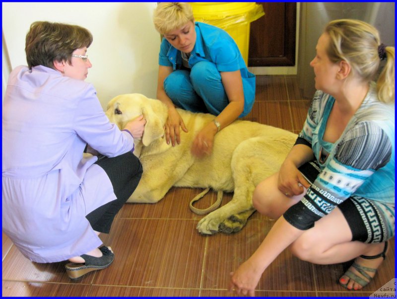 Фотография № 184599