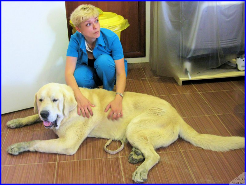 Фотография № 184601