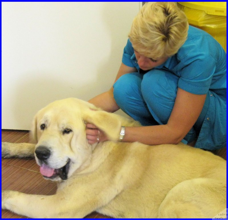 Фотография № 184602