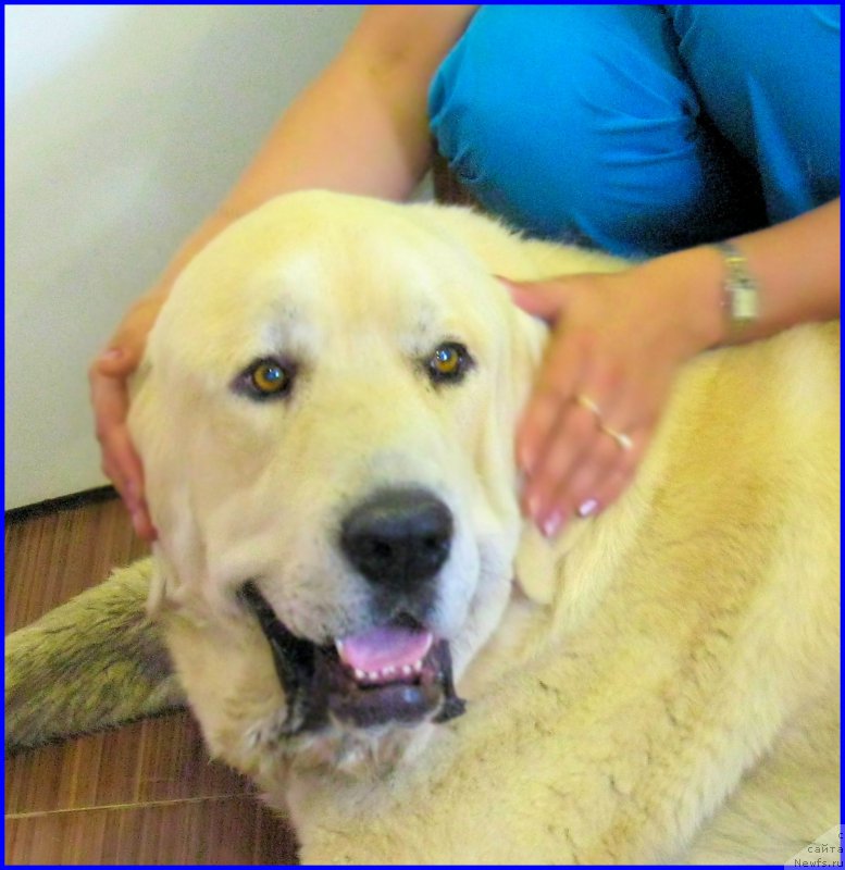 Фото: Лена Зырина, ФРАНКО