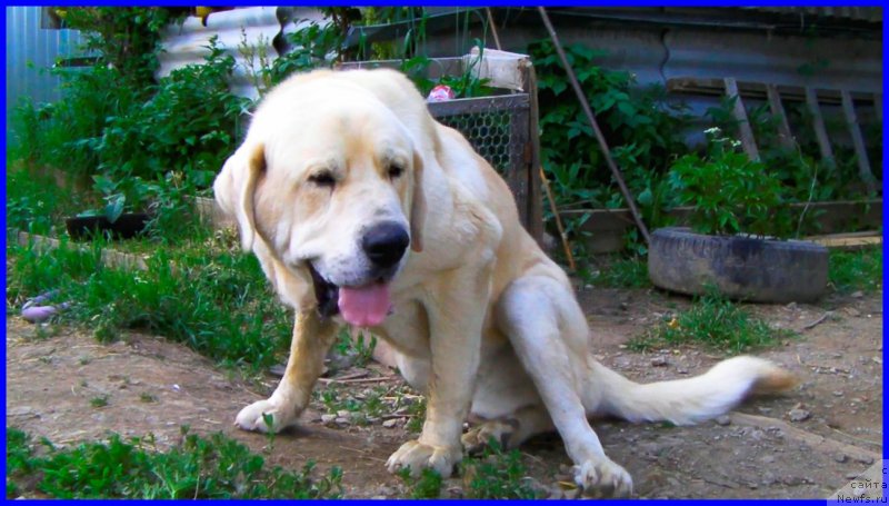 Фото: Лена Зырина, ФРАНКО