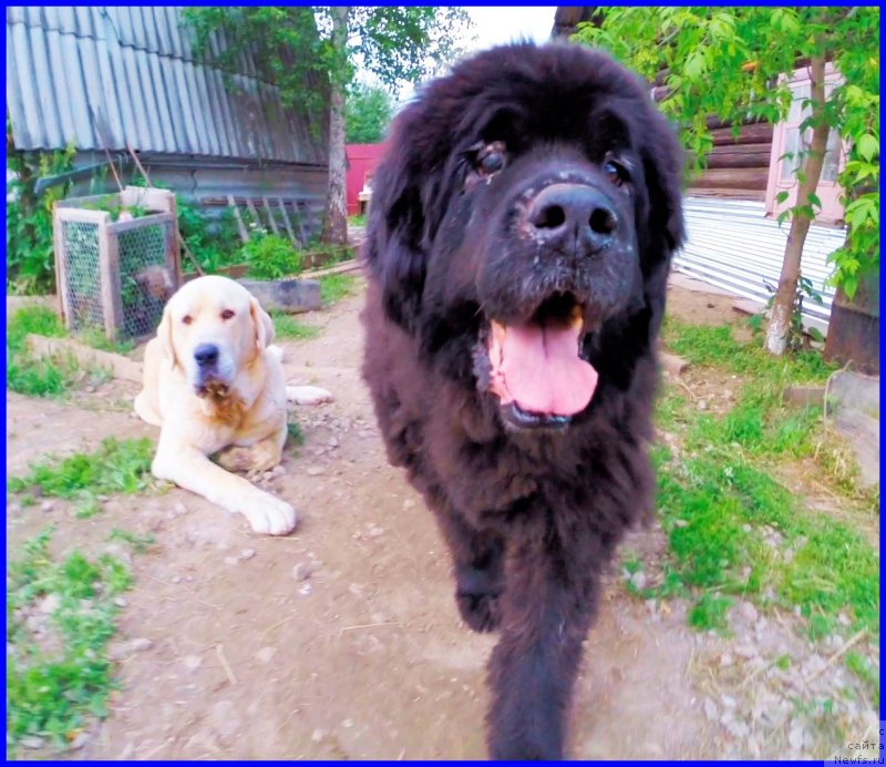 Фотография № 184612