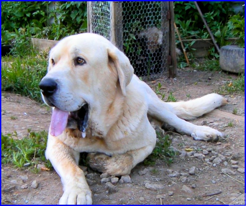 Фотография № 184614