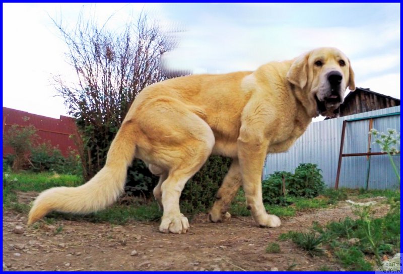 Фотография № 184615