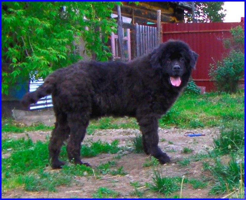 Фотография № 184618