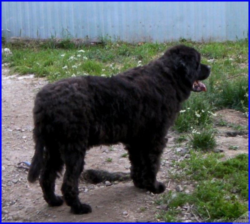 Фотография № 184619