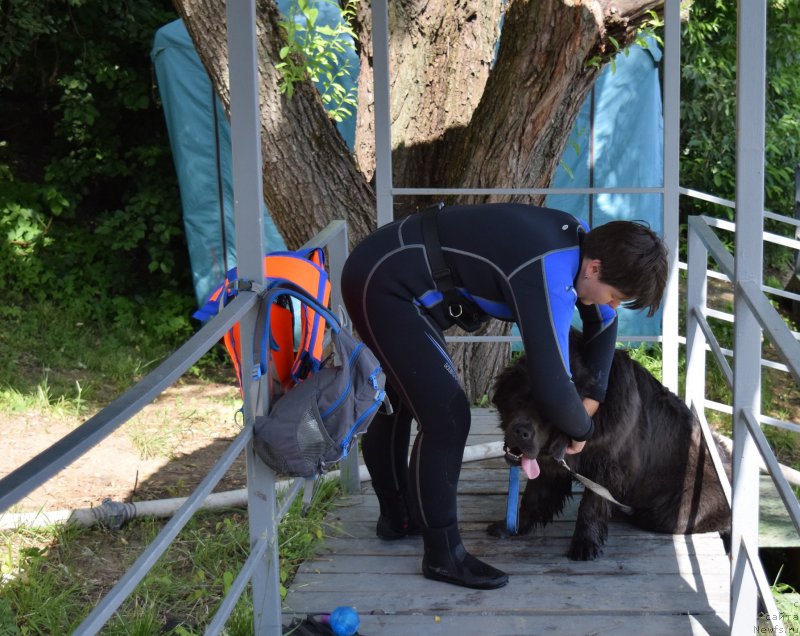 Фотография № 184651