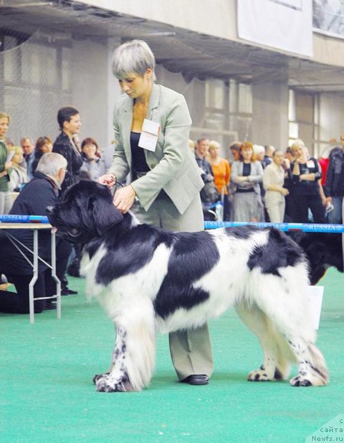 Фотография № 18466