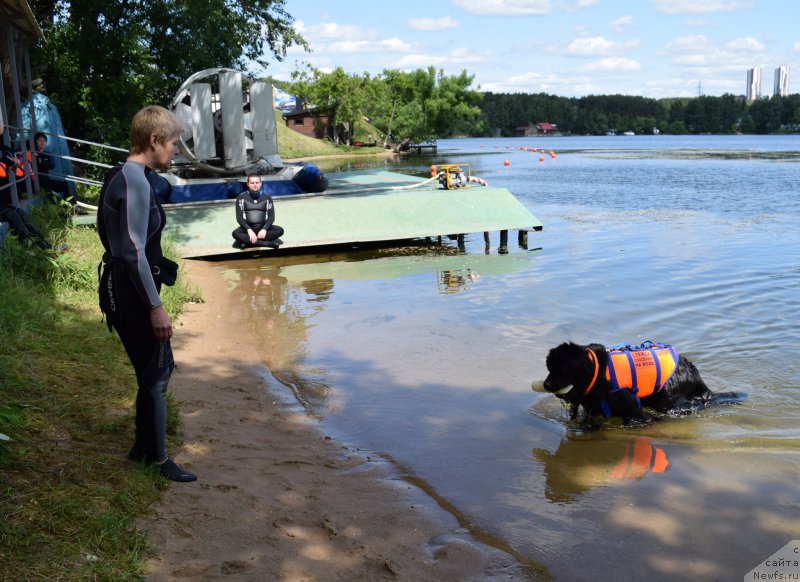 Фотография № 184660