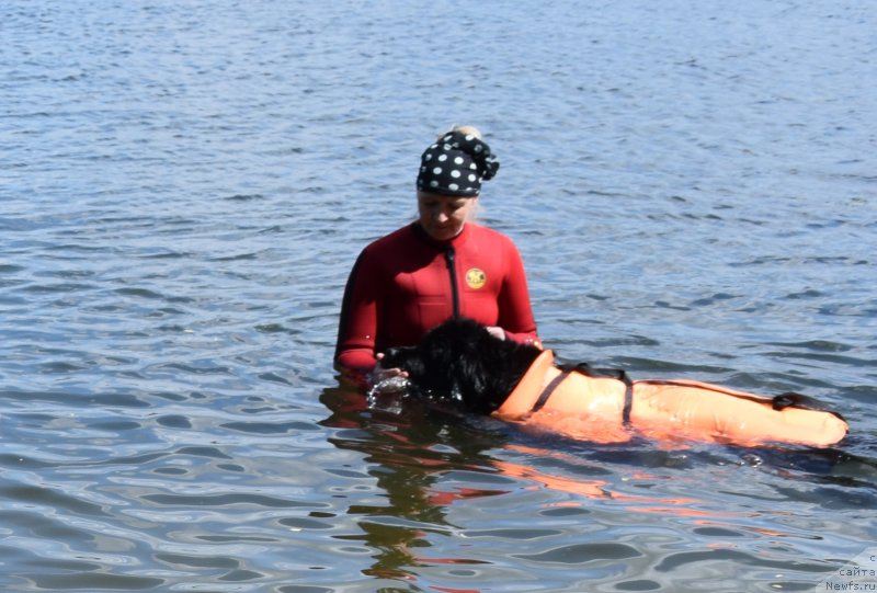 Фотография № 184661