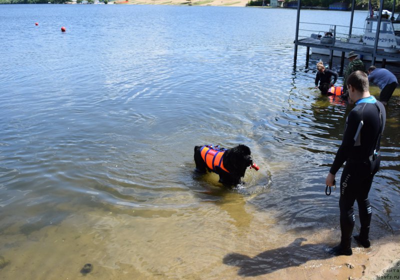 Фотография № 184665