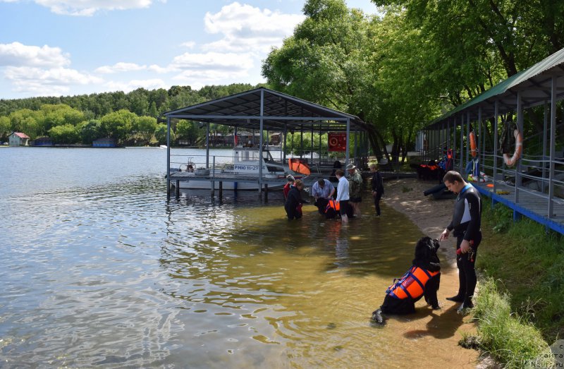 Фотография № 184666