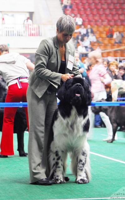 Фотография № 18467