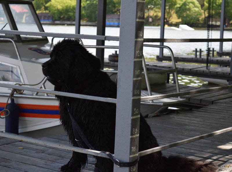 Фотография № 184673