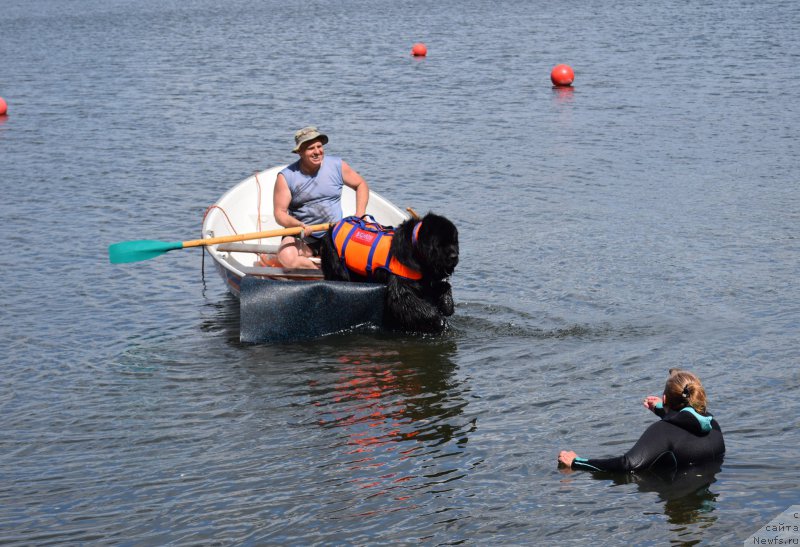 Фото: Антонина Чигвинцева