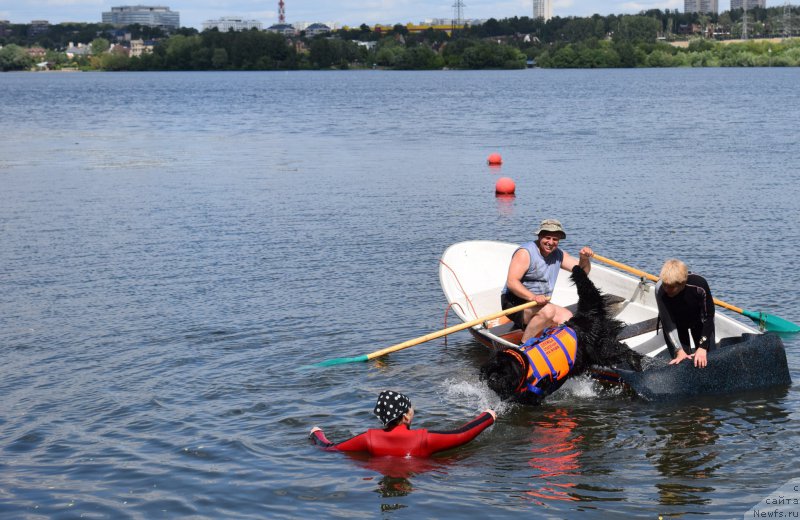 Фотография № 184682