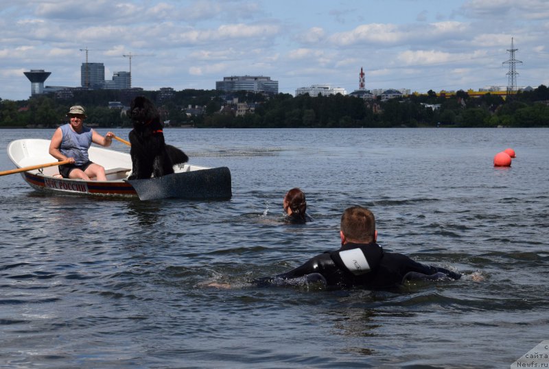 Фотография № 184684