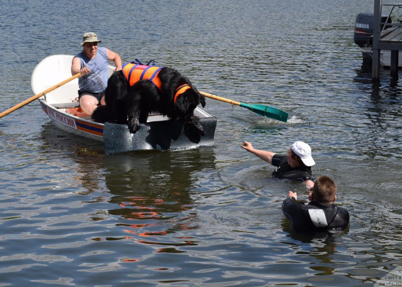 Фотография № 184685