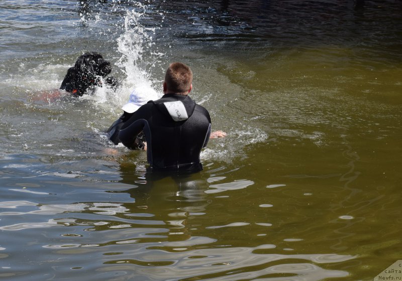 Фотография № 184686