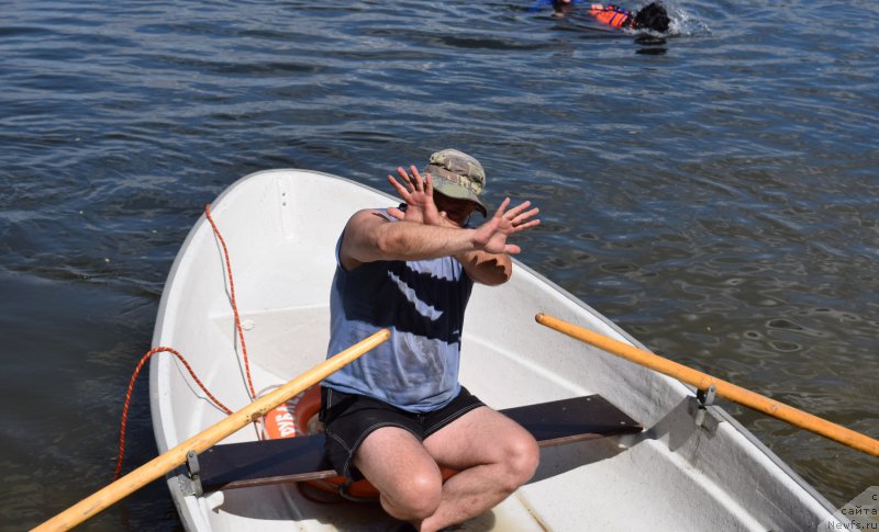 Фотография № 184687