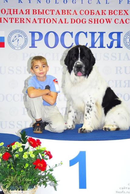 Фотография № 18469