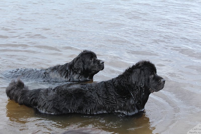 Фотография № 184690