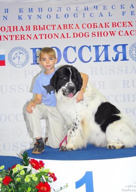 Фотография № 18470