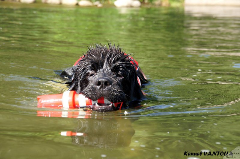 Фотография № 184727