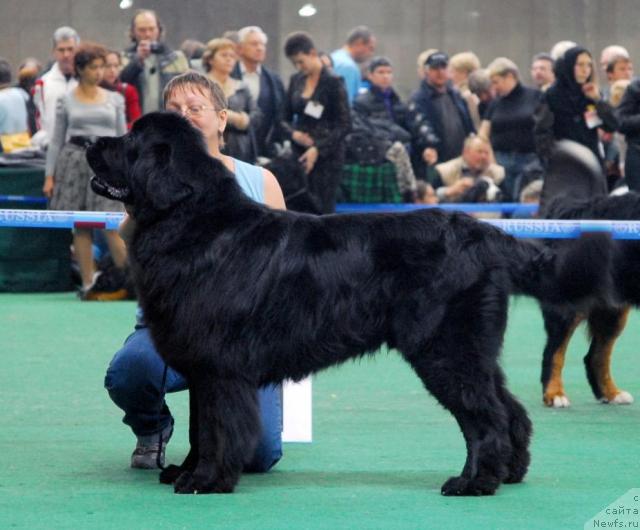 Фотография № 18474