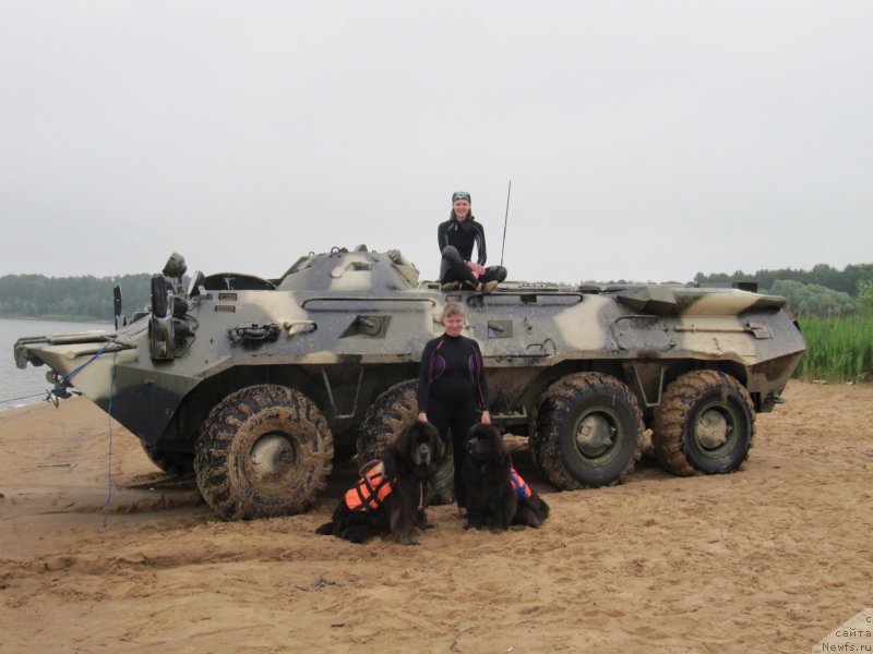 Фото: ньюфаундленд Дюрбахлер Клаб Альфаретта Виньетта, Анна Петрушкина, Анастасия Киреева, ньюфаундленд Мелти Вейв Марин Тифея (Melty Wave Marine Tifeya)