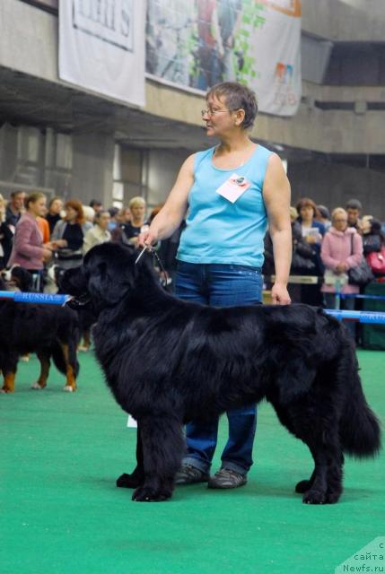 Фотография № 18475