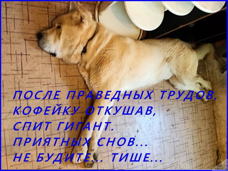 Фото: Лена Зырина, ФРАНКО