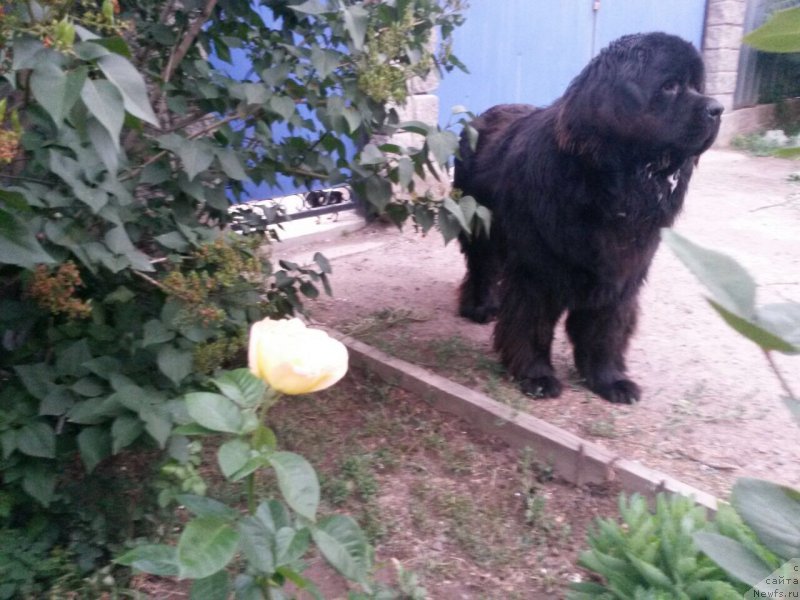 Фотография № 184752