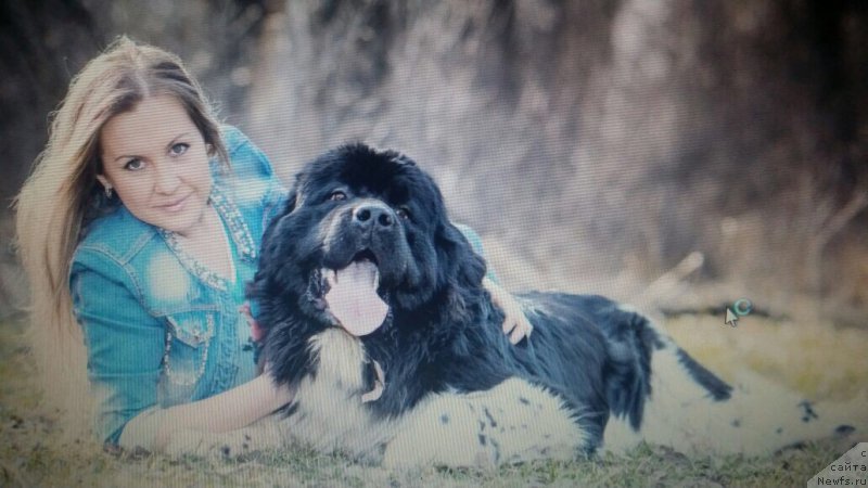 Фотография № 184754