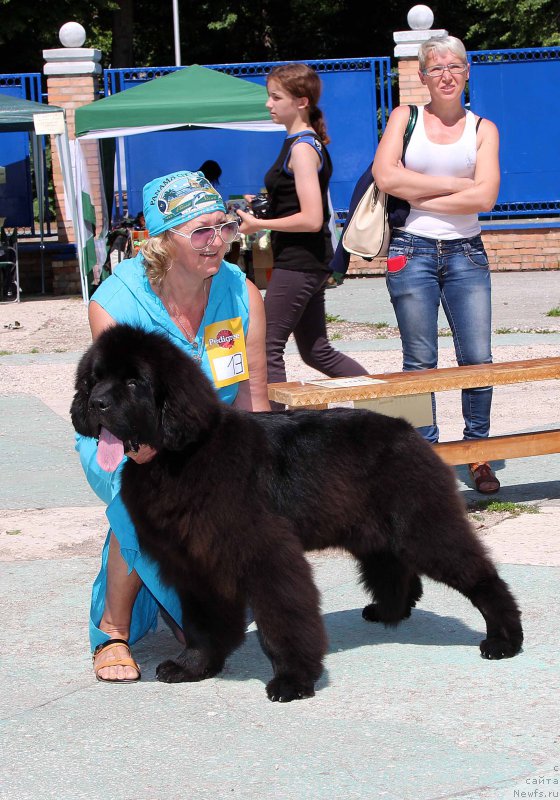 Фотография № 184757