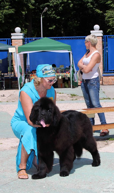 Фотография № 184758