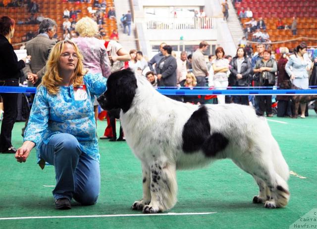 Фотография № 18476