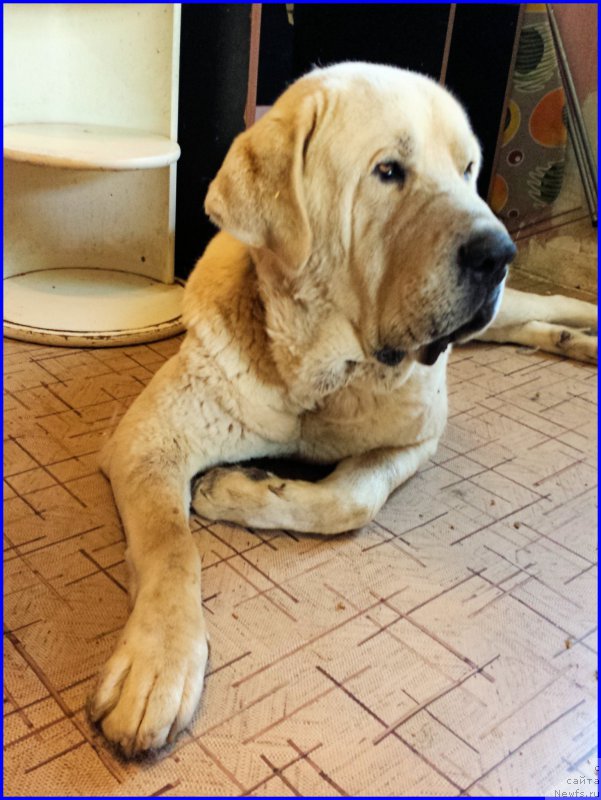 Фото: Лена Зырина, ФРАНКО