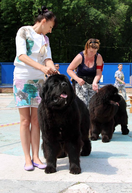 Фотография № 184761