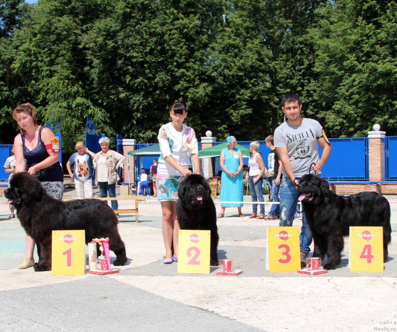 Фотография № 184763