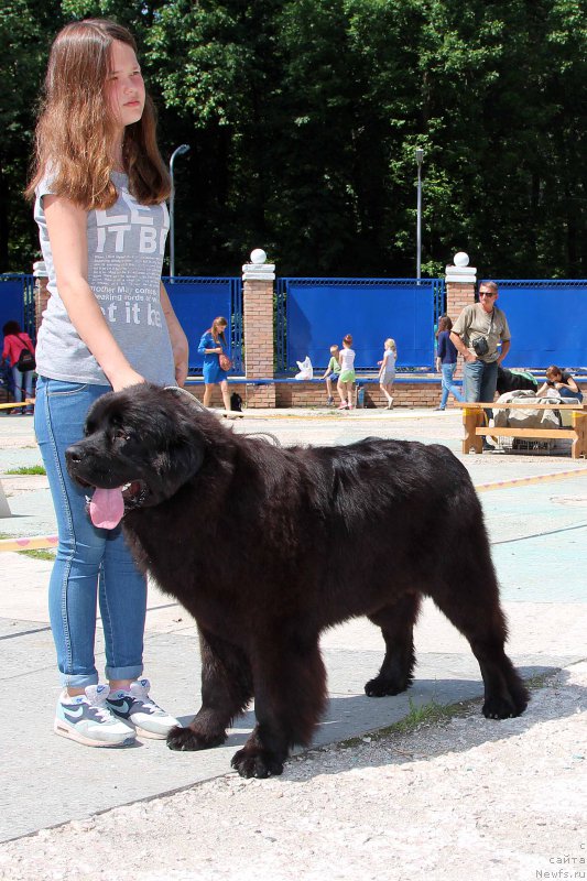 Фотография № 184765