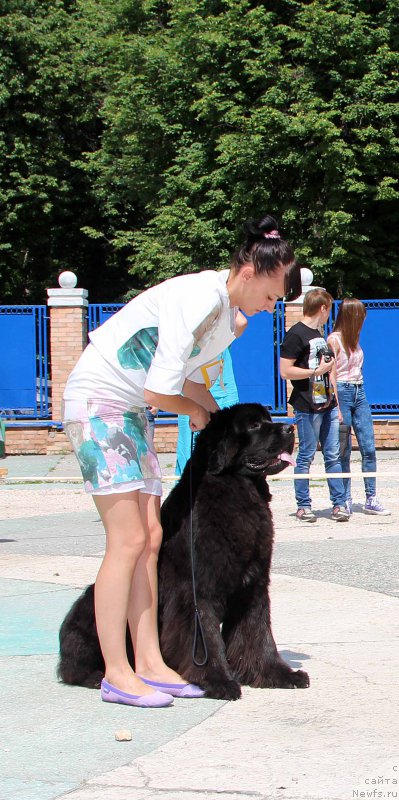 Фотография № 184766