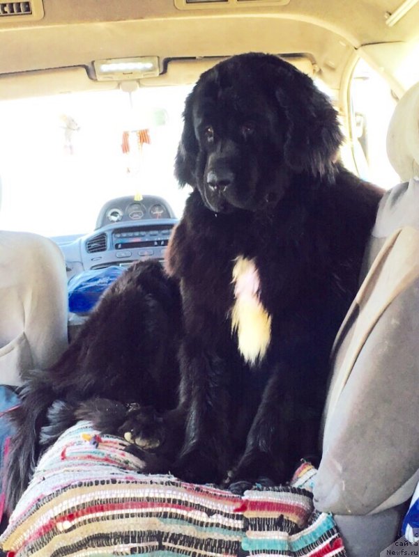 Фотография № 184767