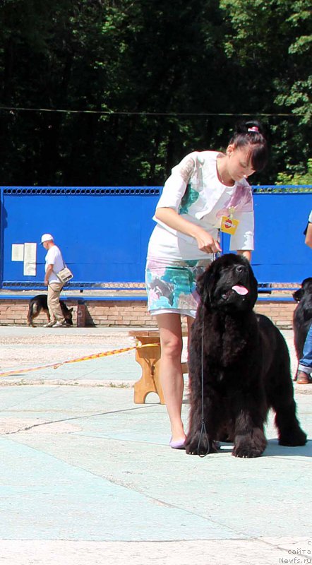 Фотография № 184768