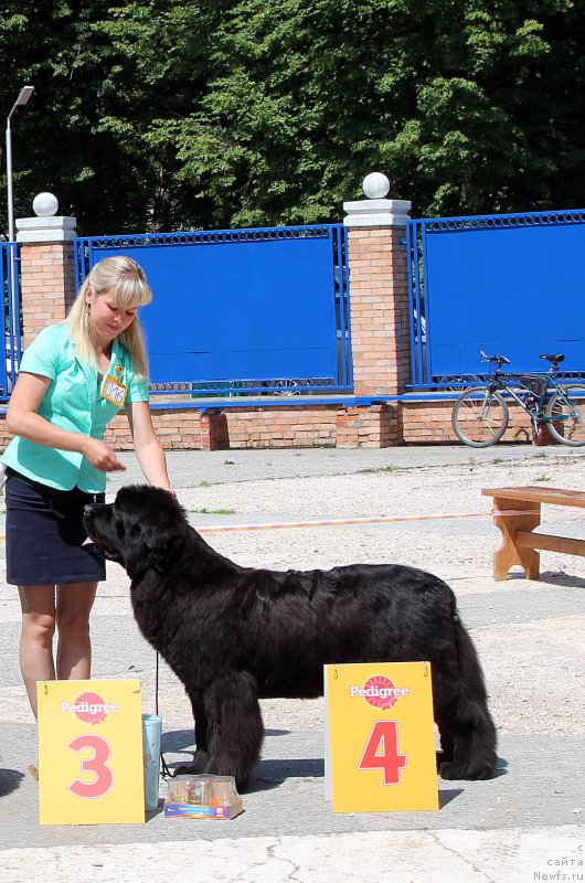 Фотография № 184769